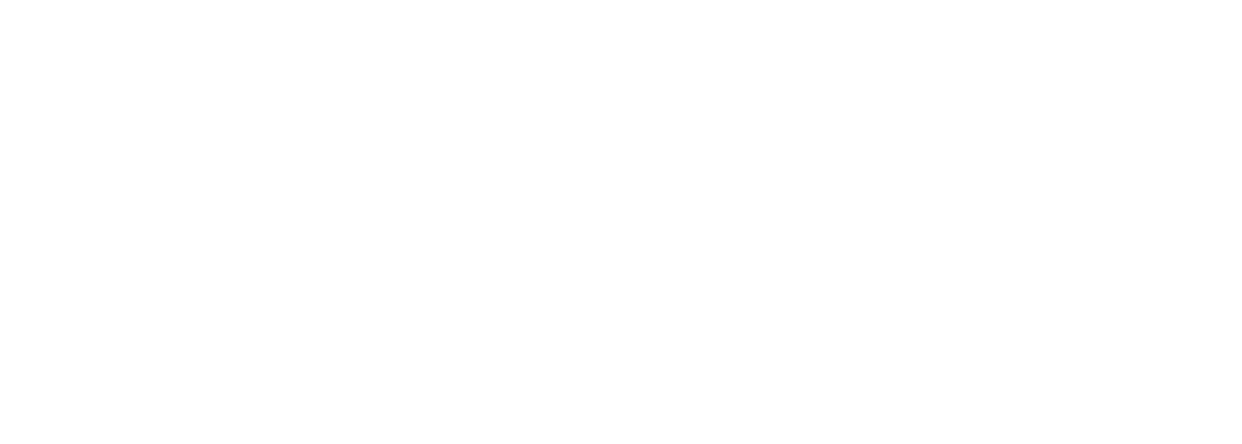 logo boston white